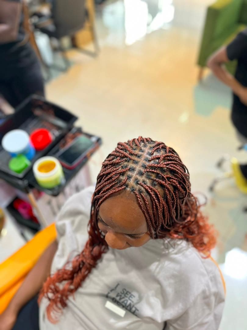 Feed-in braids
