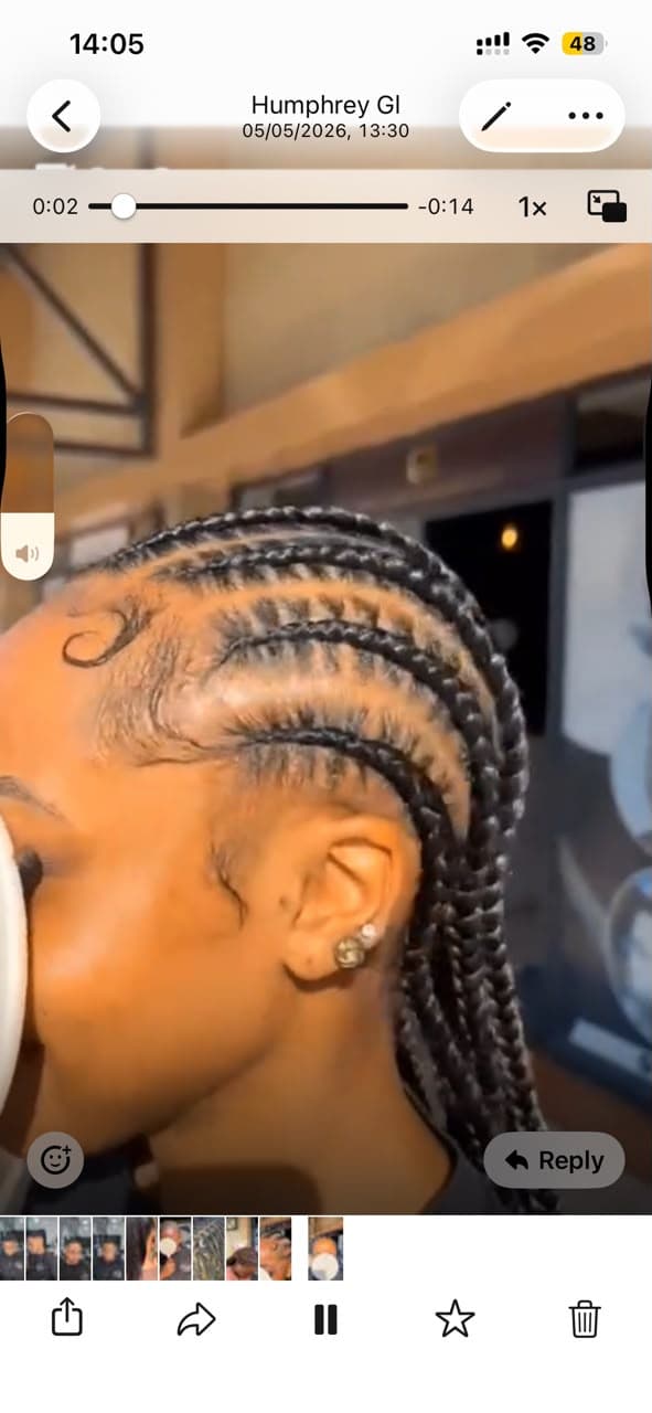 Stitch braids